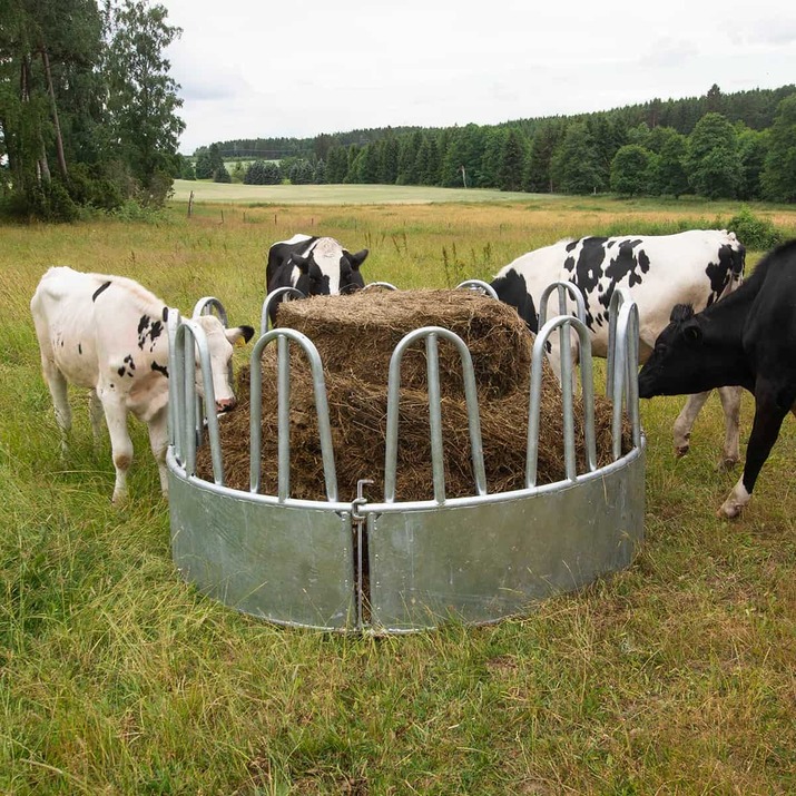 Feeder with tombstone railings, for cattle, 12 feed openings