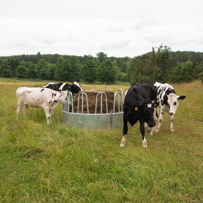 Feeder with tombstone railings, for cattle, 12 feed openings