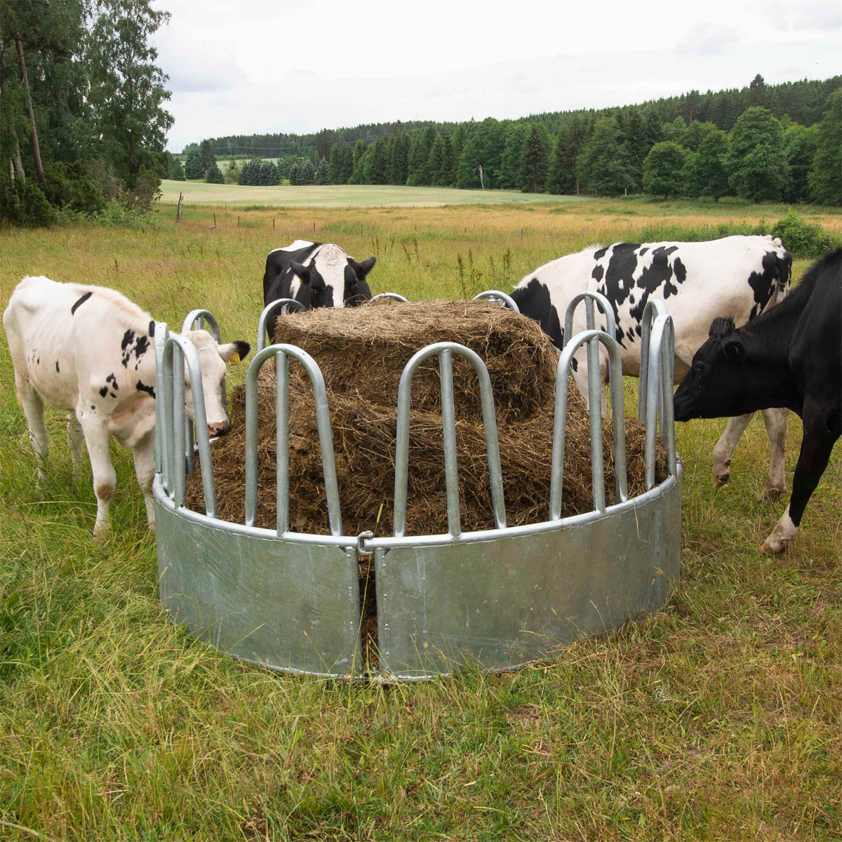 Feeder with tombstone railings, for cattle, 12 feed openings