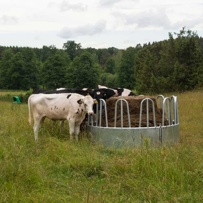 Feeder with tombstone railings, for cattle, 12 feed openings